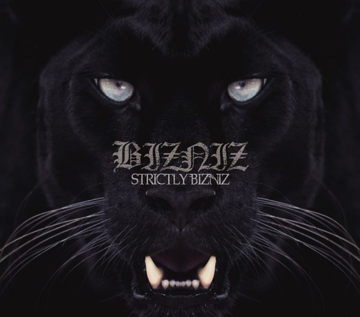 Bizniz - Strictly Bizniz cover