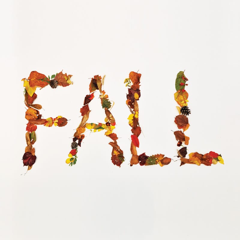 Crucial Star - Fall album cover