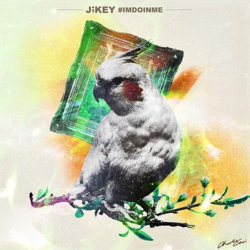 J;KEY - #IMDOINME (cover)