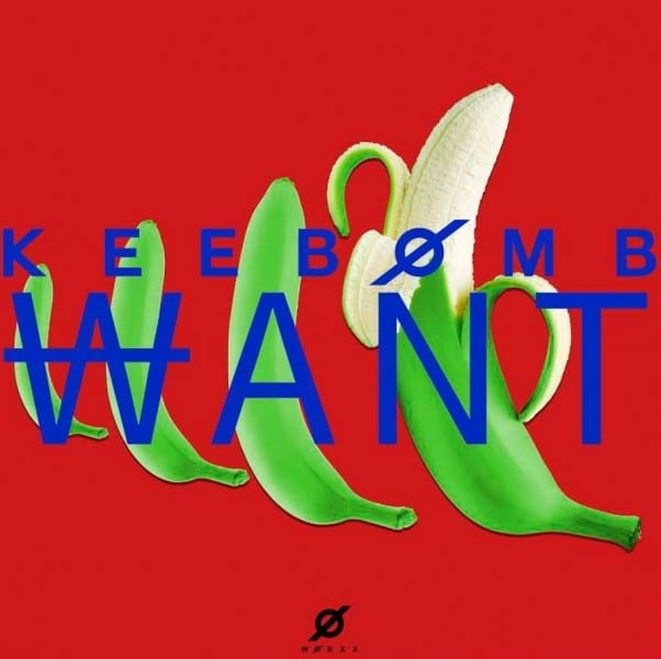 KeeBomb - WANT (cover)