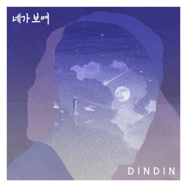 DinDin - 네가 보여 (album cover)