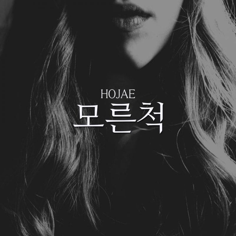 Hojae - 모른척 (album cover)