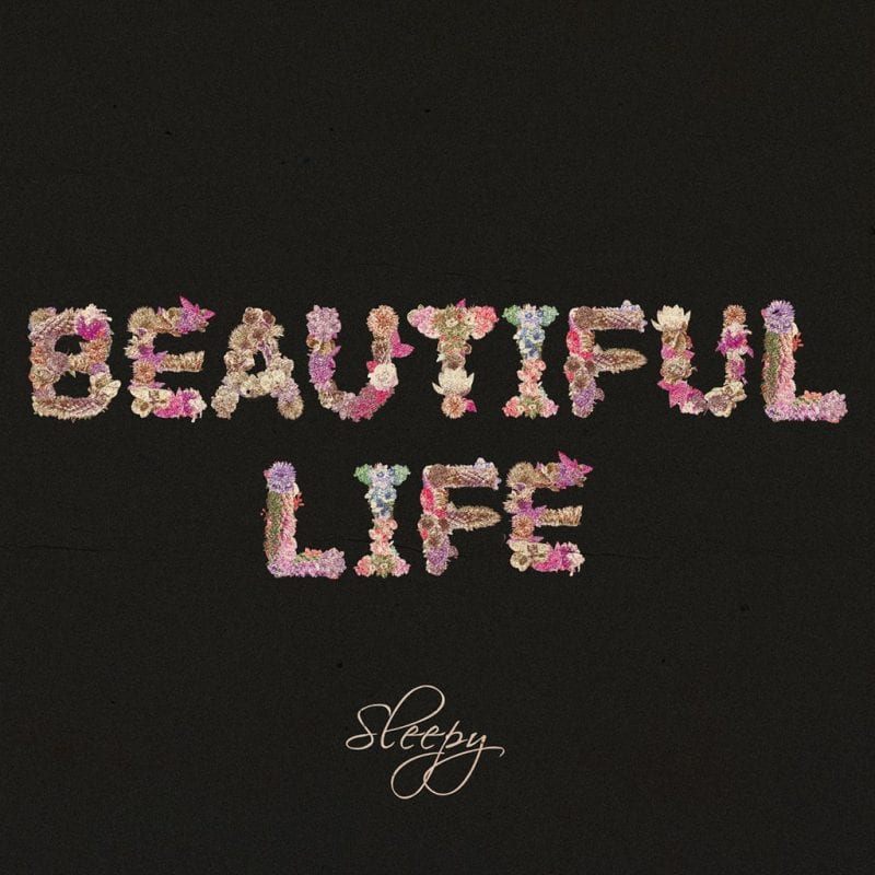 Sleepy - Beautiful Life (album cover)
