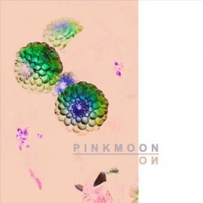 PINK MOON - ON (album cover)