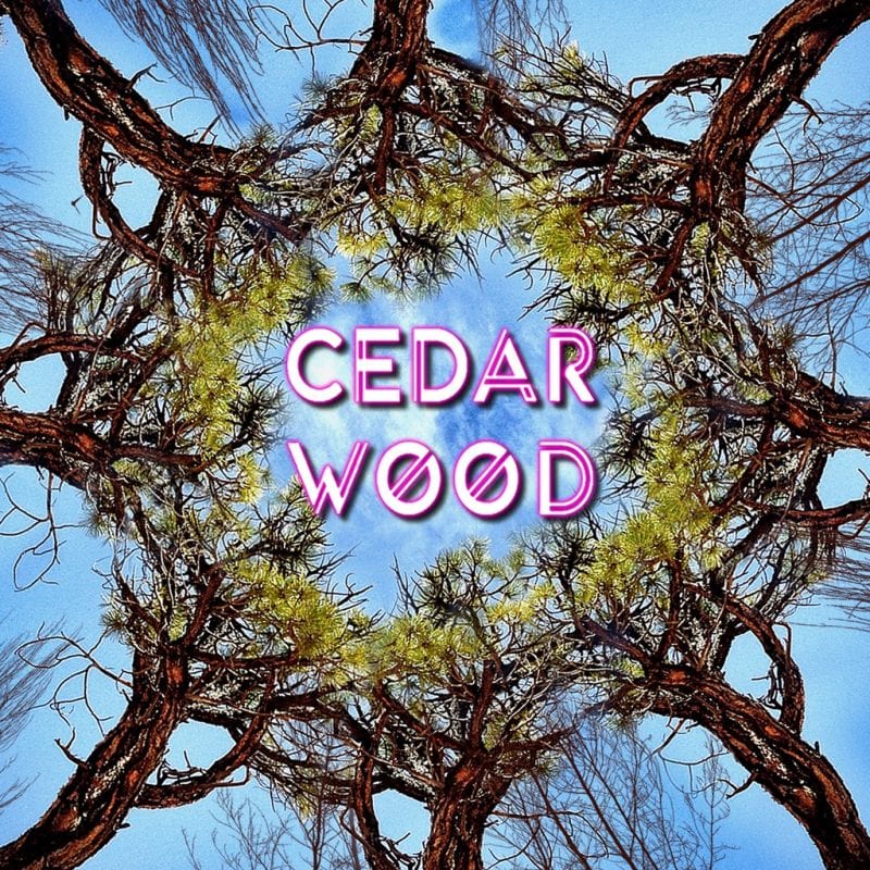 CedarWOOD - See The WOOD Vol. 1 (cover art)