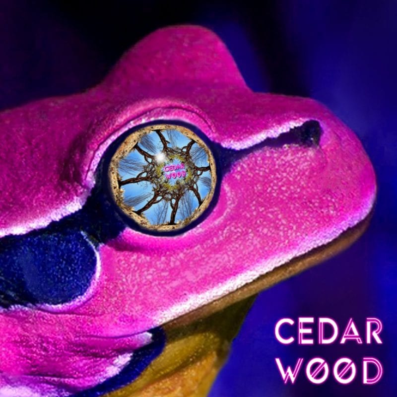 CedarWOOD - See The WOOD Vol. 2 (cover art)