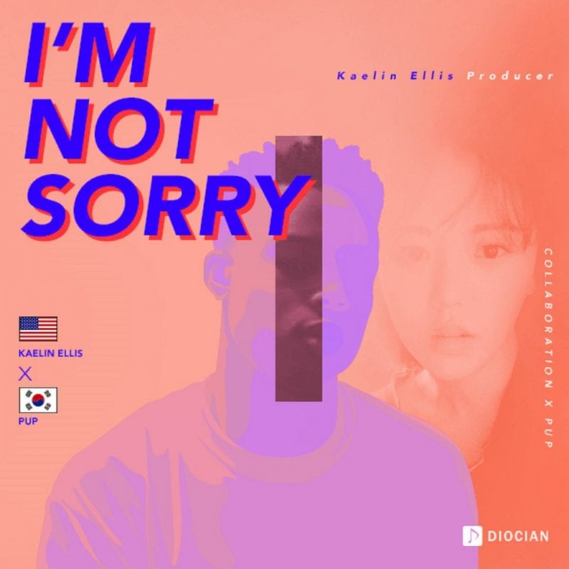 PUP - I'm Not Sorry (cover art)