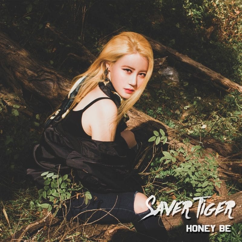 Honeybe - Saver Tiger (cover art)