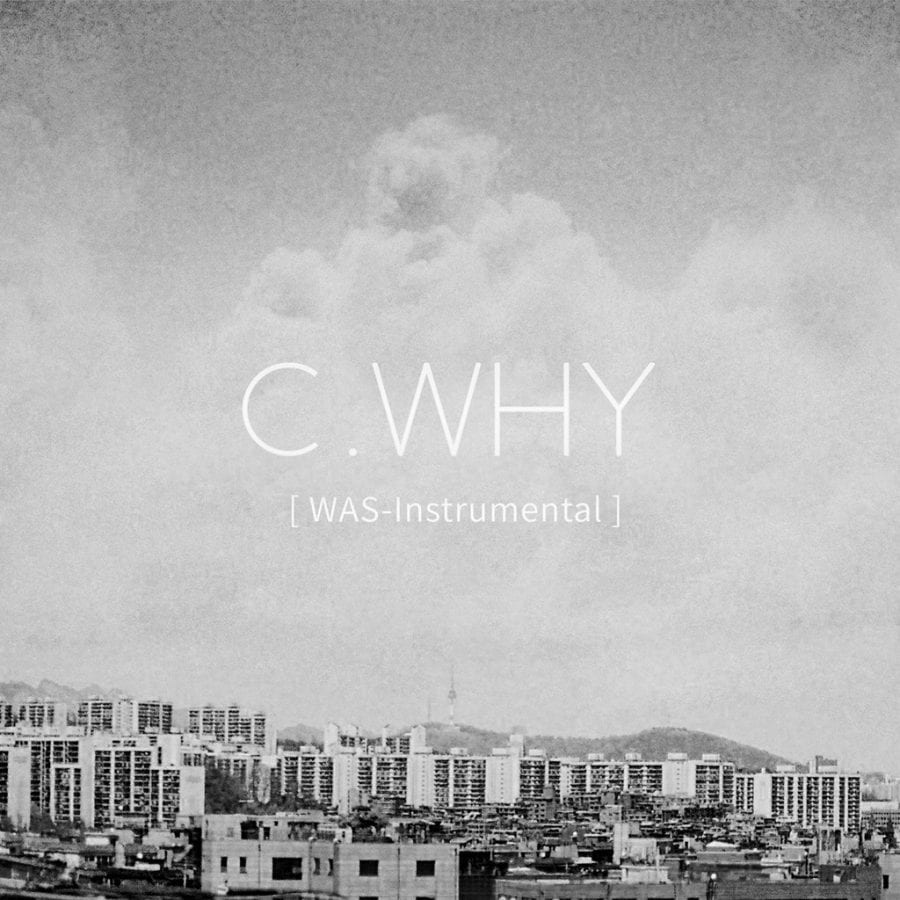 C.Why - WAS - Instrumental (album cover)