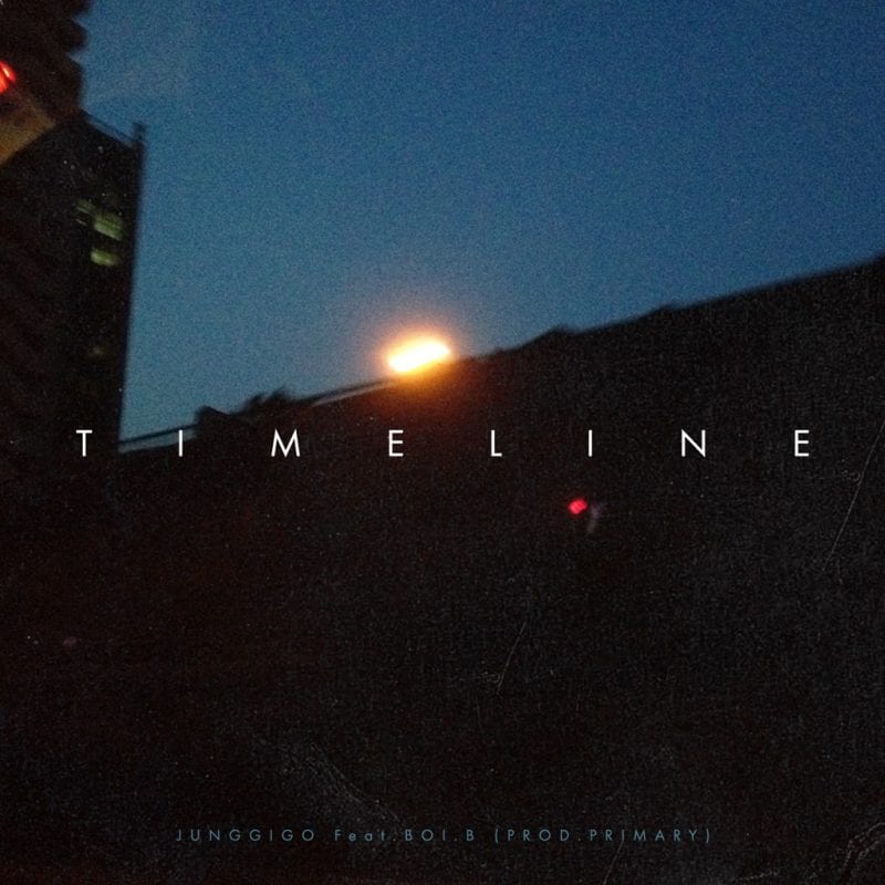 Junggigo - Timeline (cover art)