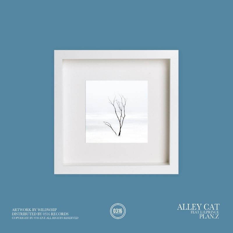 Plan.Z - Alley Cat (cover art)