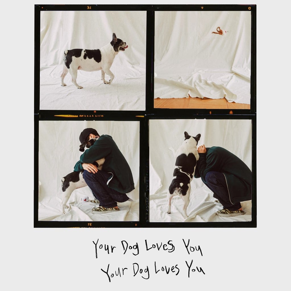 Colde - Your Dog Loves You (cover art)