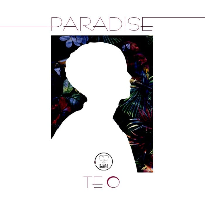TE.O - PARADISE (cover art)