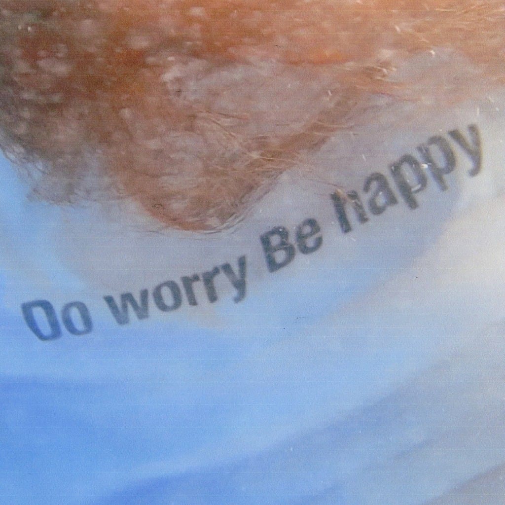Primary x Anda - Do Worry Be Happy (album cover)