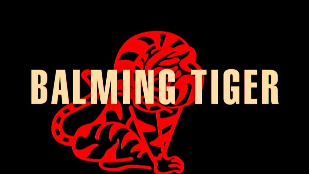 Balming Tiger - 못 UNDERSTAND MV screenshot