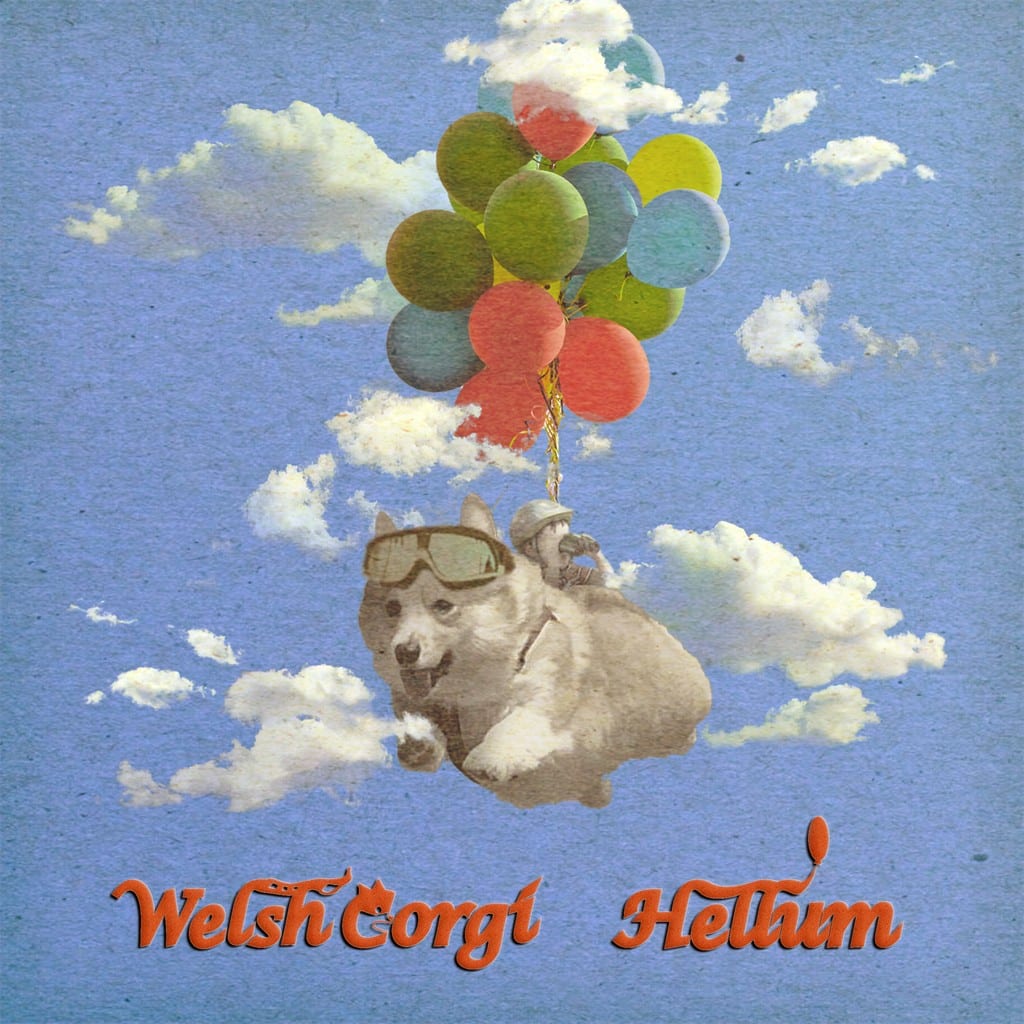 Litol - Welsh Corgi/Helium (cover art)