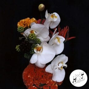 19XX - Freefall (cover art)
