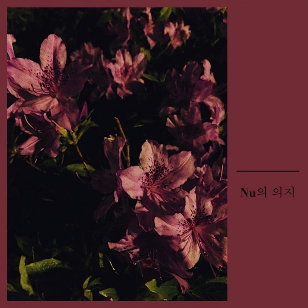 Junehee Bae - Nu Presents: Nu Will (album cover)