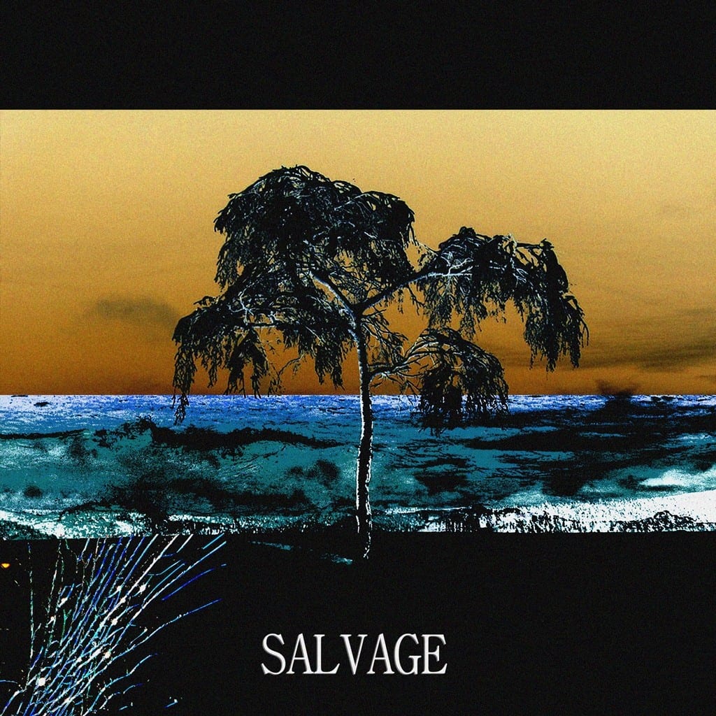 badavice - SALVAGE (cover art)