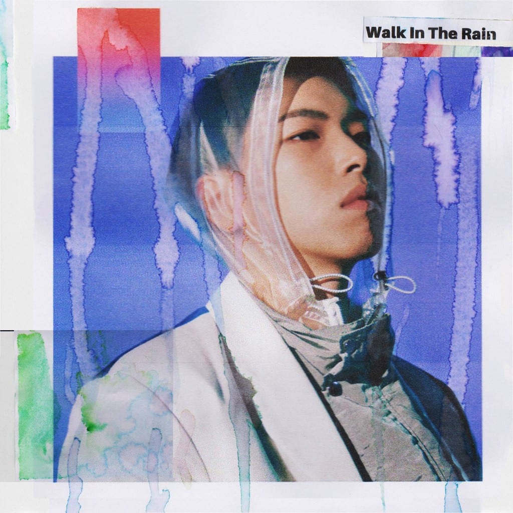 Osshun Gum - Walk in the Rain (cover art)