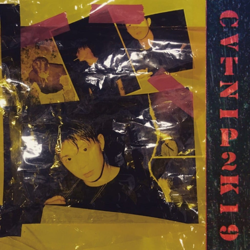 coreanshorthair - CVTNIP (album cover)