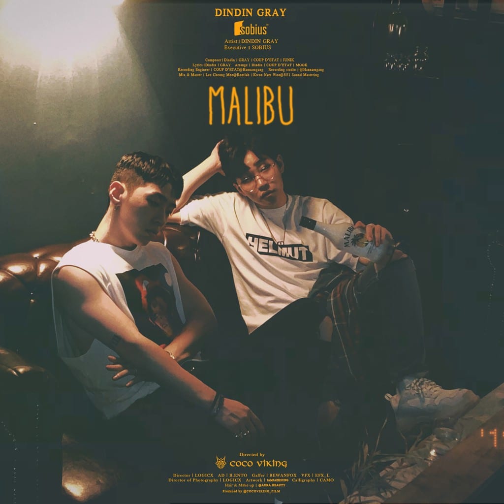 DinDin - Malibu (cover art)