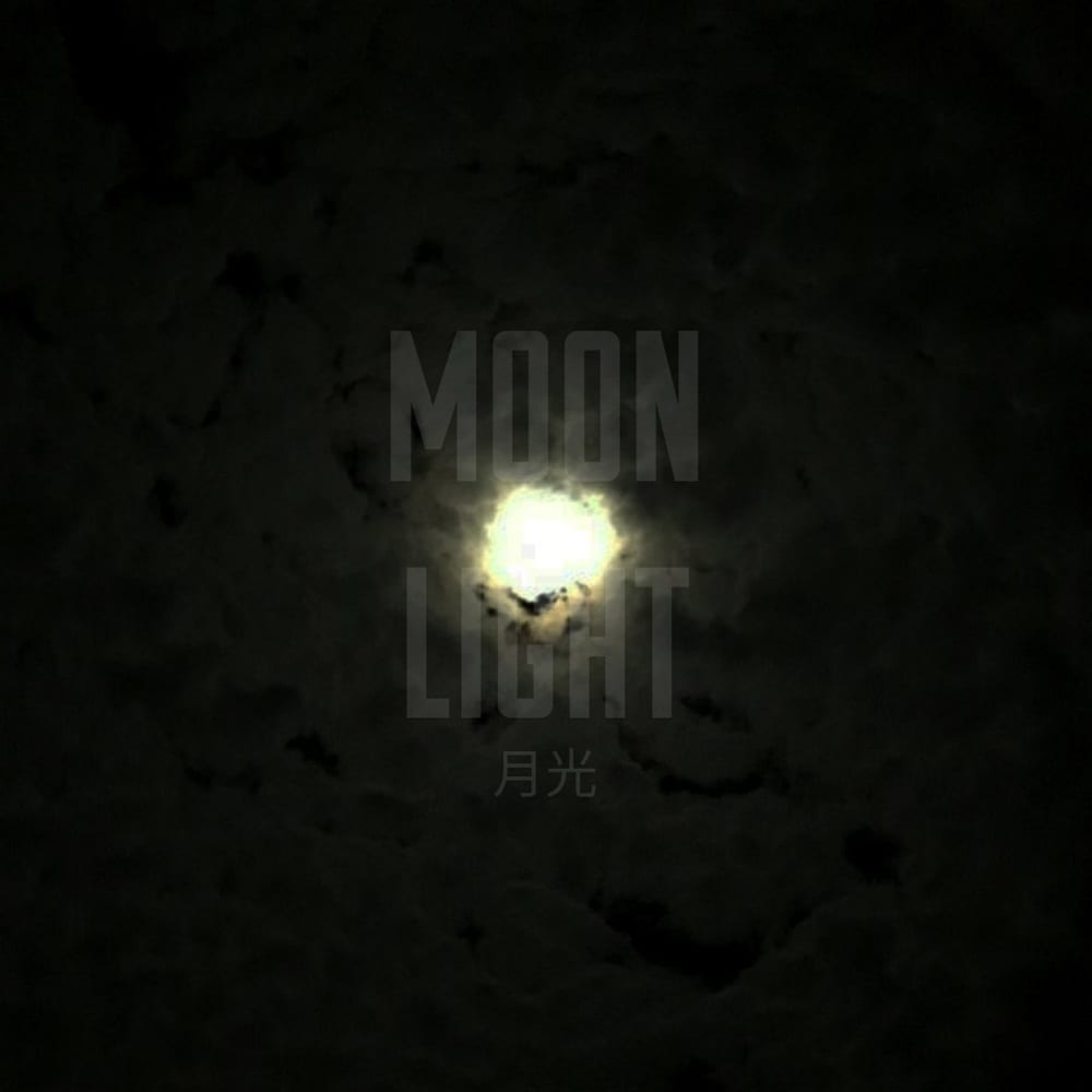 9won - Moon Light (cover art)