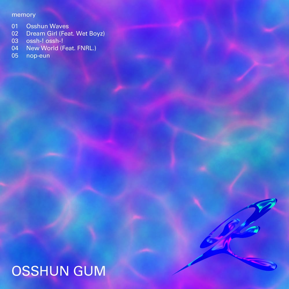 Osshun Gum - memory (album cover)
