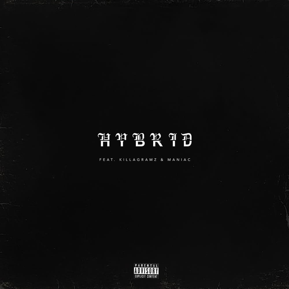 Sikboy - Hybrid (cover art)