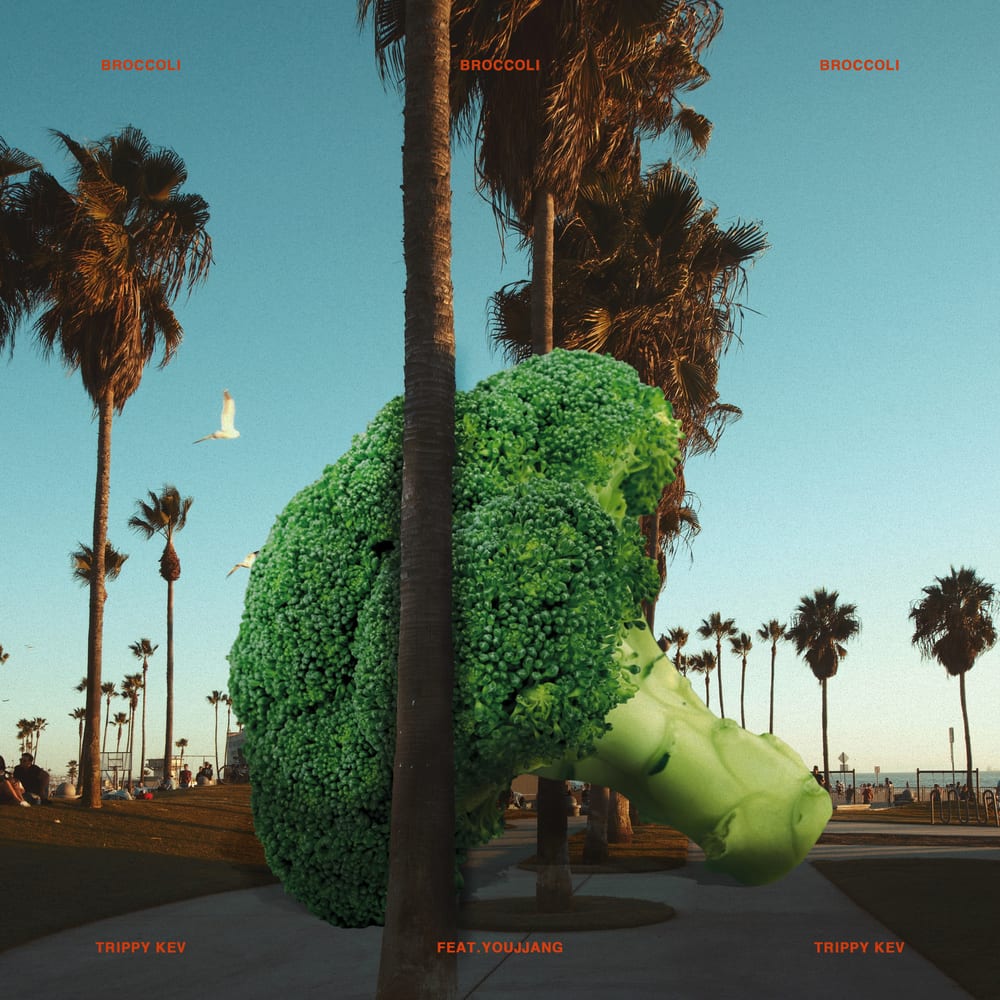 Trippy Kev - Broccoli (cover art)