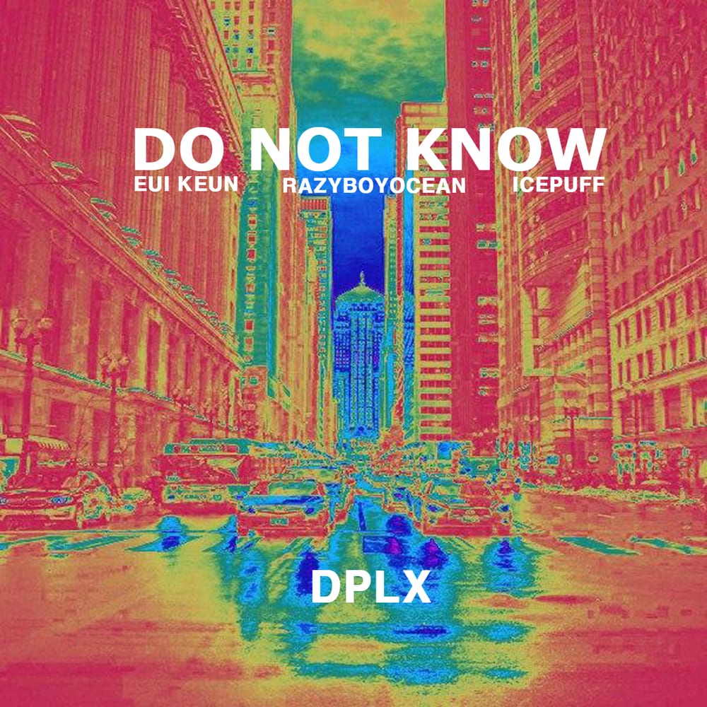 DPLX - Do Not Know (cover art)