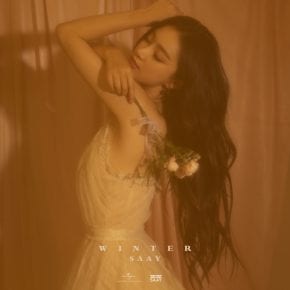 SAAY - Winter (cover art)