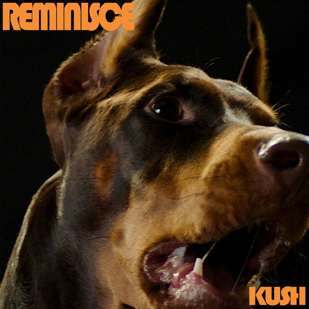 KUSH - Reminisce (cover art)