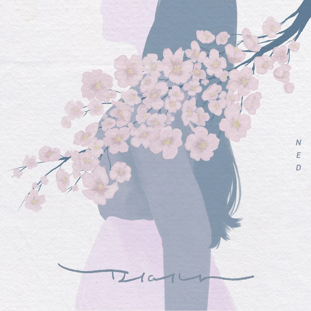 NeD - Blossom (cover art)