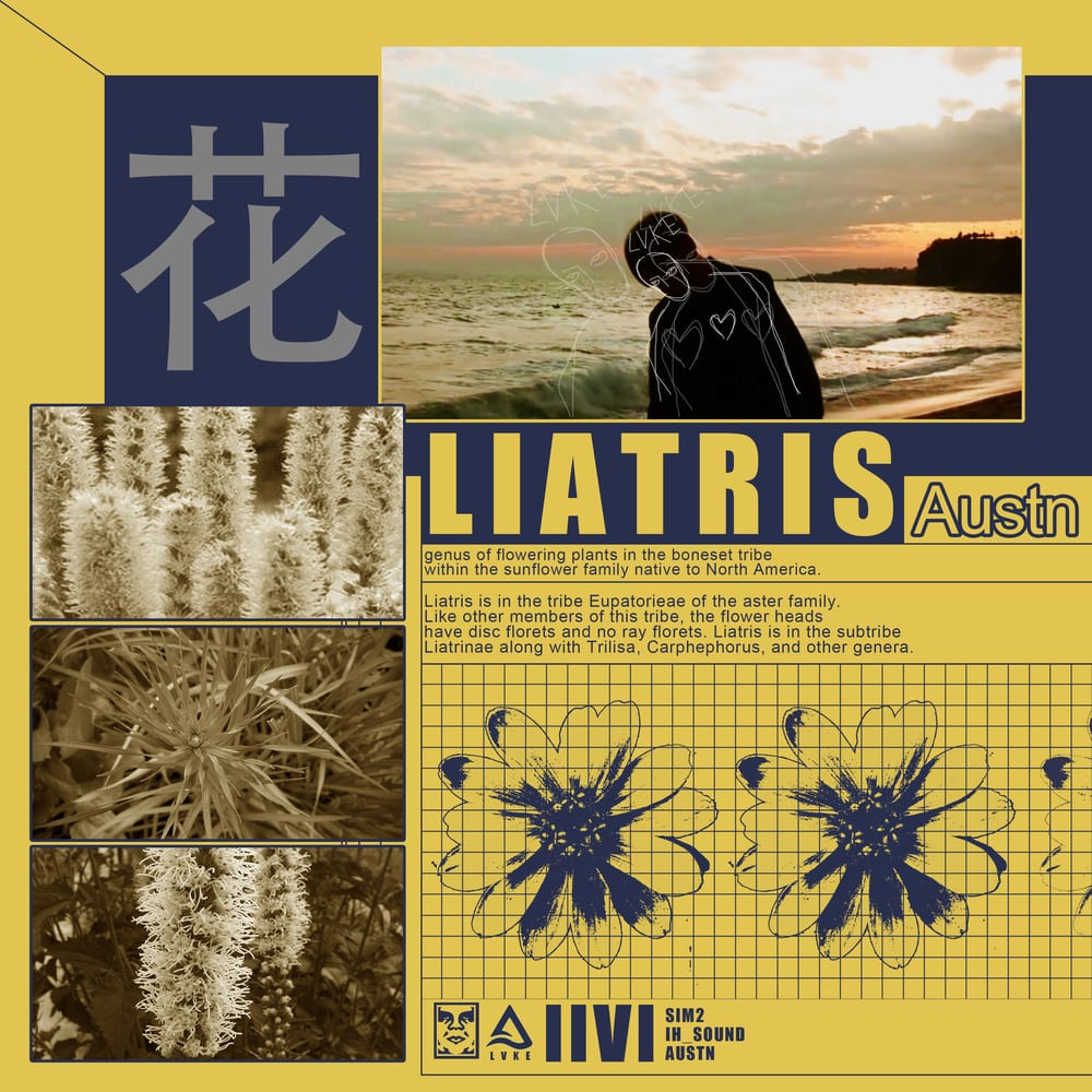 Austn - Liatris (cover art)
