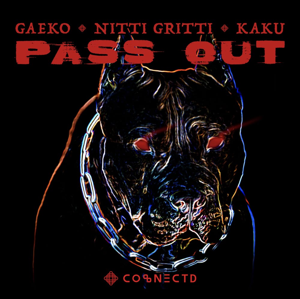Gaeko, Nitti Gritti, KAKU - PASS OUT (cover art)