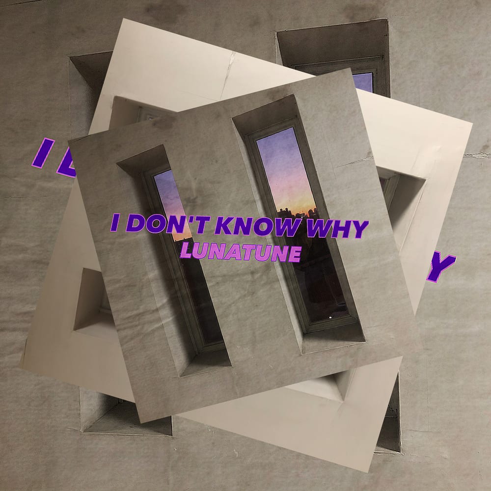 Luna Tune - I DON'T KNOW WHY (cover art)