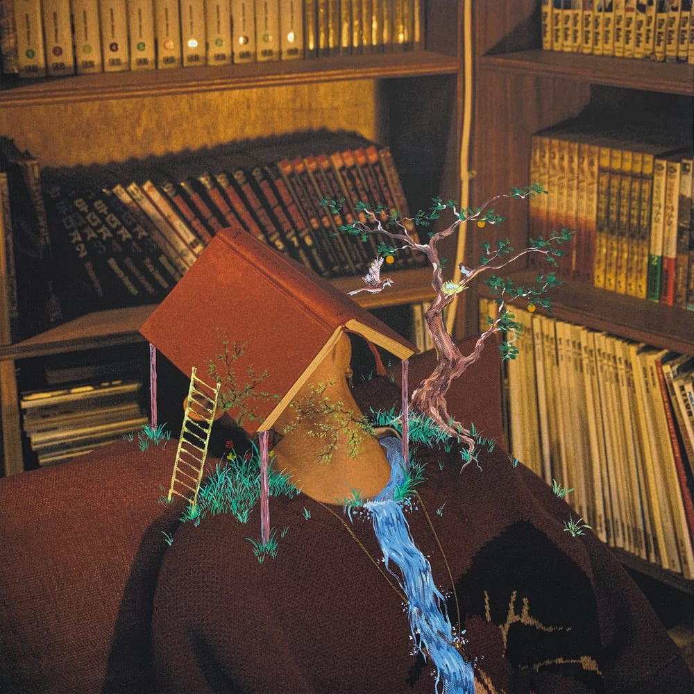 Modern Orange - Bookshelf (album cover)