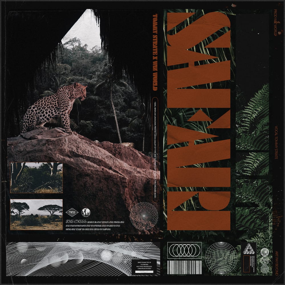 Tommy Strate X Wiz World- Safari (album cover)