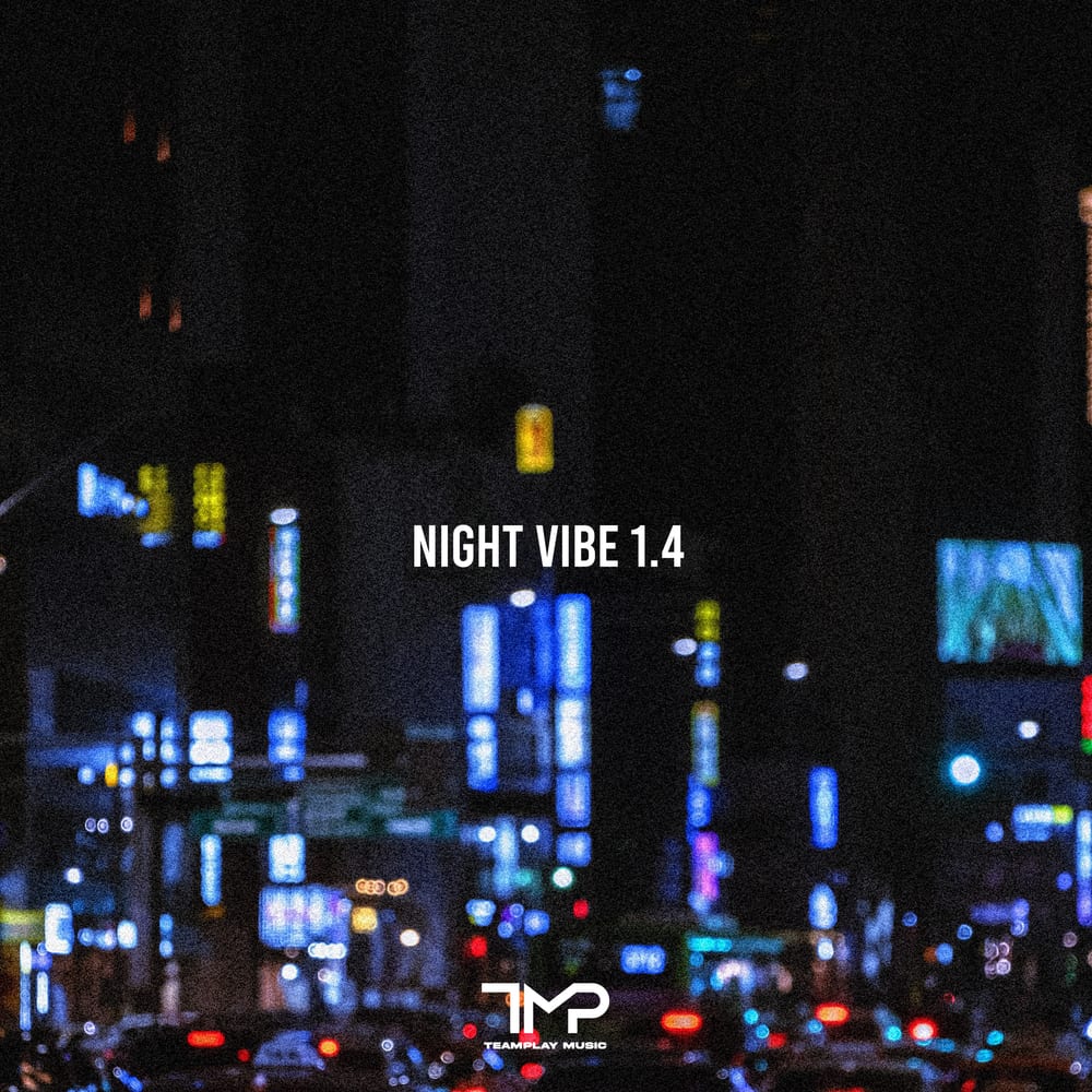 Boi B - Night Vibe 1.4 (cover art)