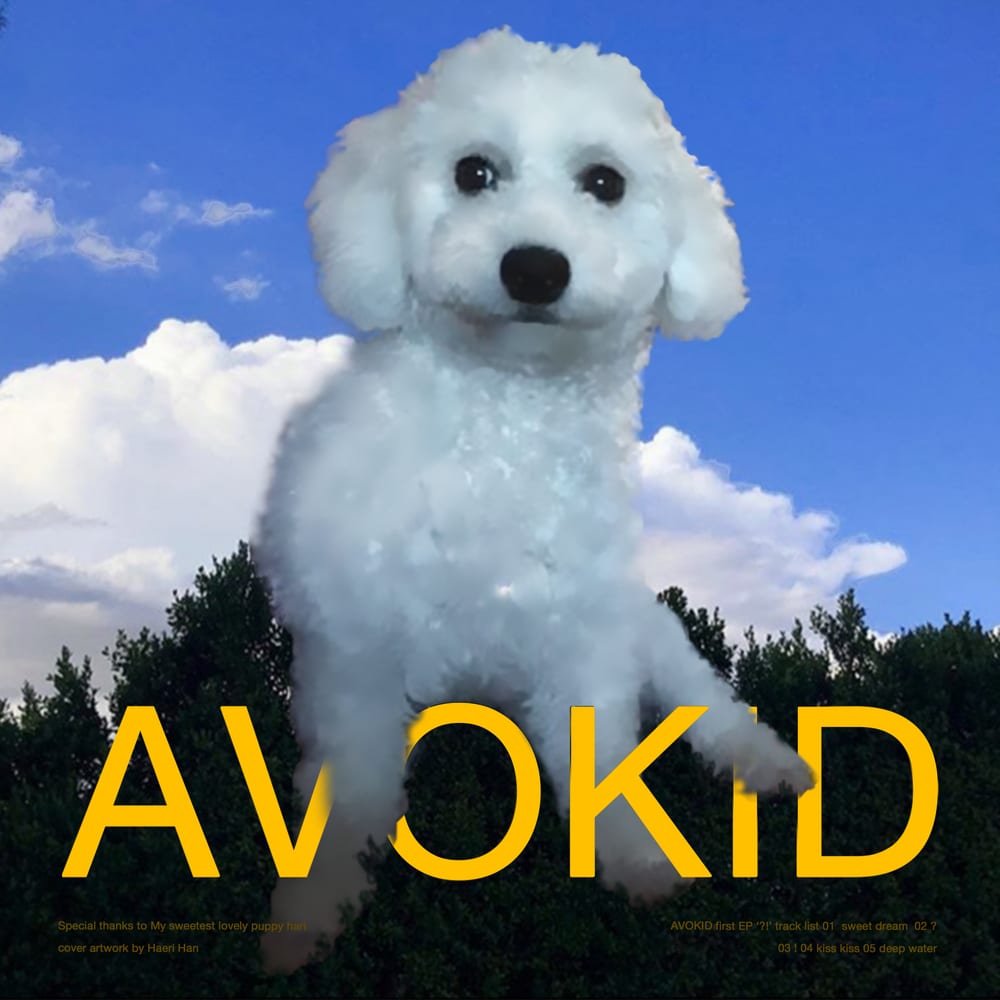 AVOKID - ?! (album cover)