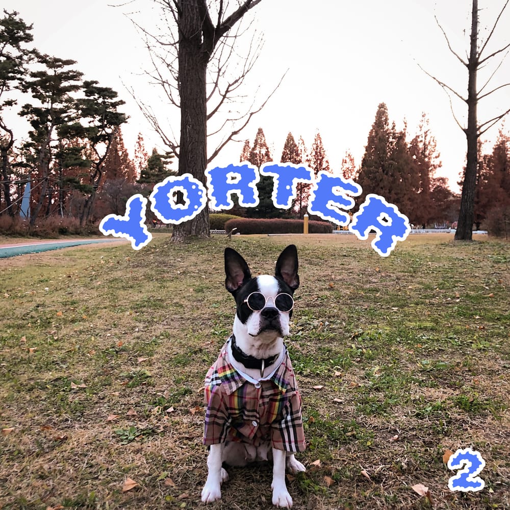yovng trucker - yorter 2 (album cover)